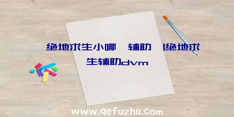 「绝地求生小哪吒辅助」|绝地求生辅助dvm
